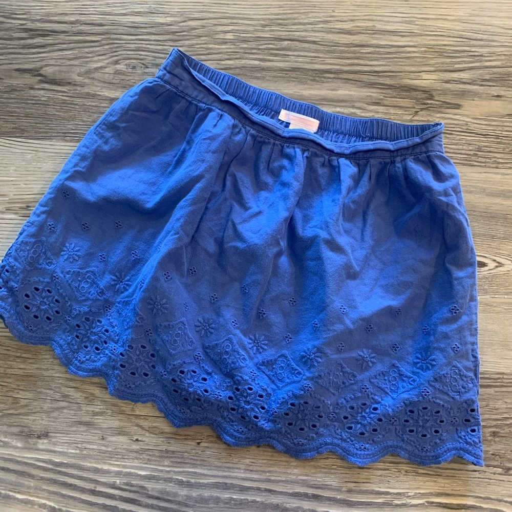 Janie and Jack blue skirt